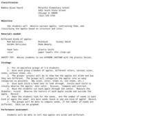 Classification Lesson Plan Classification Lesson Plan