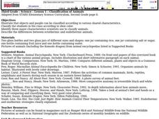 Classification of Animals Lesson Plan Classification of Animals Lesson Plan