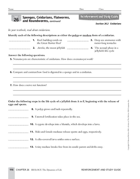 Cnidarians Worksheet Cnidarians Worksheet
