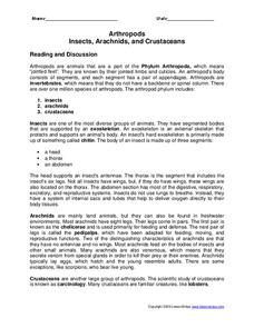 Arthropods, Insects, Arachnids, and Crustaceans Worksheet Arthropods, Insects, Arachnids, and Crustaceans Worksheet
