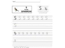 S is for Sparrow: Letter Ss Interactive S is for Sparrow: Letter Ss Interactive