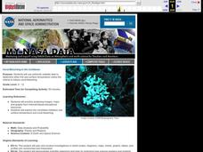 Coral Bleaching in the Caribbean Lesson Plan Coral Bleaching in the Caribbean Lesson Plan