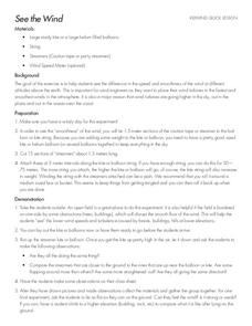 See The Wind! Lesson Plan See The Wind! Lesson Plan