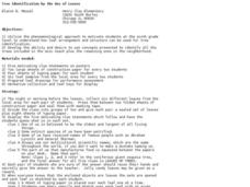 Tree Identification by the Use of Leaves Lesson Plan Tree Identification by the Use of Leaves Lesson Plan