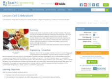 Cell Celebration! Lesson Plan Cell Celebration! Lesson Plan