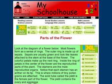 Parts of the Flower Interactive Parts of the Flower Interactive