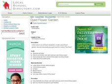 Dyed Flower Garden Lesson Plan Dyed Flower Garden Lesson Plan