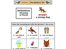 Definitions Worksheet Definitions Worksheet
