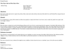What Objects Sink and What Objects Float Lesson Plan What Objects Sink and What Objects Float Lesson Plan