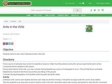 Ants in the Wild Lesson Plan Ants in the Wild Lesson Plan