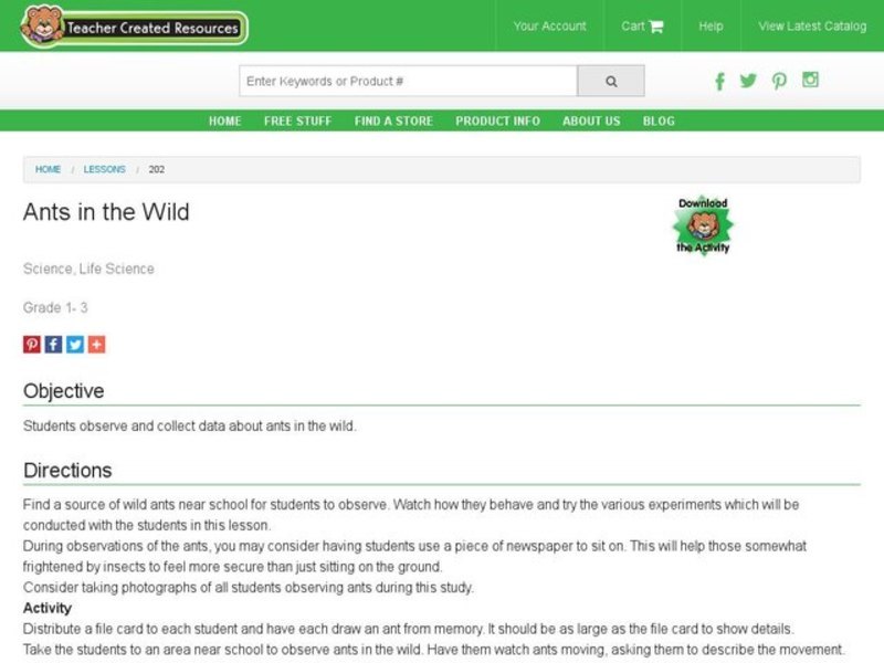 Ants in the Wild Lesson Plan Ants in the Wild Lesson Plan