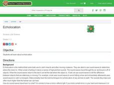 Echolocation Lesson Plan Echolocation Lesson Plan
