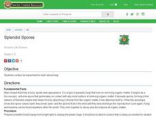 Splendid Spores Lesson Plan Splendid Spores Lesson Plan