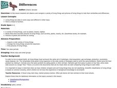 Differences Lesson Plan Differences Lesson Plan