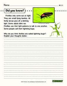 Did You Know? Writing Prompt Did You Know? Writing Prompt