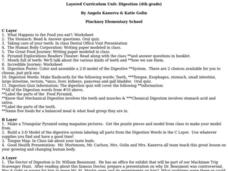 Digestion Lesson Plan Digestion Lesson Plan