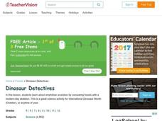 Dinosaur Detectives Lesson Plan Dinosaur Detectives Lesson Plan