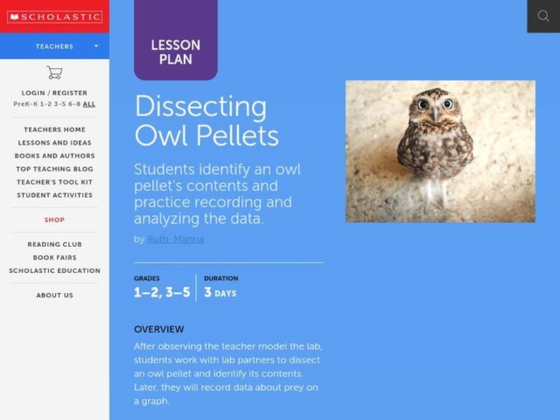 Dissecting Owl Pellets Lesson Plan Dissecting Owl Pellets Lesson Plan