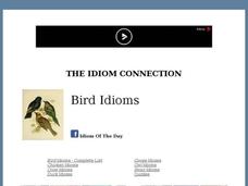 Idiom Quizzes - Birds Interactive Idiom Quizzes - Birds Interactive