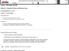 Diversity       of Life Lesson Plan Diversity       of Life Lesson Plan