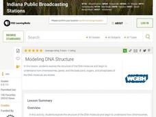 Modeling DNA Structure Lesson Plan Modeling DNA Structure Lesson Plan