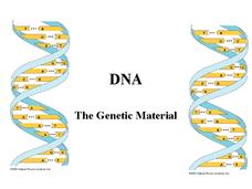 DNA PPT DNA PPT