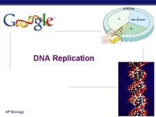 DNA Replication PPT DNA Replication PPT