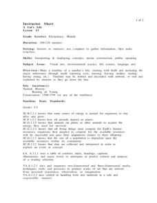 A Cat's Life Lesson Plan A Cat's Life Lesson Plan