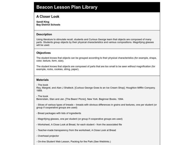 A CLOSER LOOK Lesson Plan A CLOSER LOOK Lesson Plan