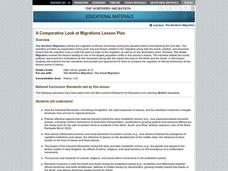 A Comparative Look at Migrations Lesson Plan A Comparative Look at Migrations Lesson Plan