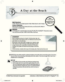 A Day at the Beach Lesson Plan A Day at the Beach Lesson Plan