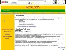Ecology Lesson Plan Ecology Lesson Plan