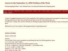 The Spiraling Bug Problem Worksheet The Spiraling Bug Problem Worksheet
