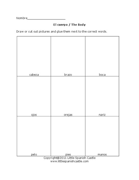 El cuerpo/ The Body  Organizer El cuerpo/ The Body  Organizer