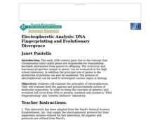 Electrophoretic Analysis: DNA Fingerprinting and Evolutionary Divergence Lesson Plan Electrophoretic Analysis: DNA Fingerprinting and Evolutionary Divergence Lesson Plan