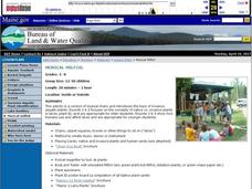 Musical Milfoil Lesson Plan Musical Milfoil Lesson Plan