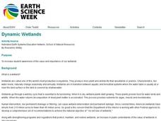 Dynamic Wetlands Lesson Plan Dynamic Wetlands Lesson Plan