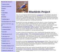 Blue birds Project Lesson Plan Blue birds Project Lesson Plan