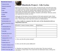 Bluebirds Project - Life Cycles Worksheet Bluebirds Project - Life Cycles Worksheet