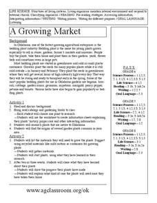 A Growing Market Lesson Plan A Growing Market Lesson Plan