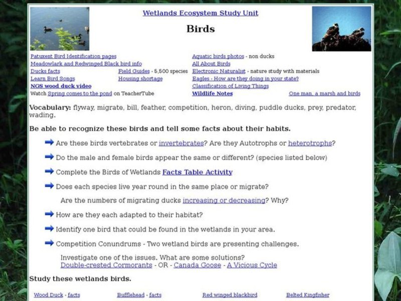 Birds: Wetlands Ecosystems Interactive Birds: Wetlands Ecosystems Interactive