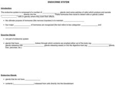 Endocrine System Worksheet Endocrine System Worksheet