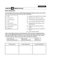 Energy in a Cell Worksheet Energy in a Cell Worksheet