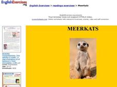 MeerKats - Reading Exercises Interactive MeerKats - Reading Exercises Interactive