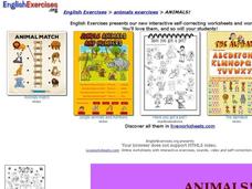 Animals! Interactive Animals! Interactive