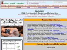 Enzymes Lesson Plan Enzymes Lesson Plan