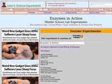 Enzymes in Action Lesson Plan Enzymes in Action Lesson Plan
