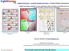 ESL Grammar-Present Simple, Plural Nouns, Possessive Adjectives Interactive ESL Grammar-Present Simple, Plural Nouns, Possessive Adjectives Interactive