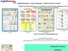 Collective Nouns- Animals Interactive Collective Nouns- Animals Interactive