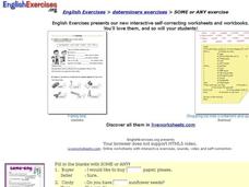 ESL: Determiners-Some/Any Interactive ESL: Determiners-Some/Any Interactive